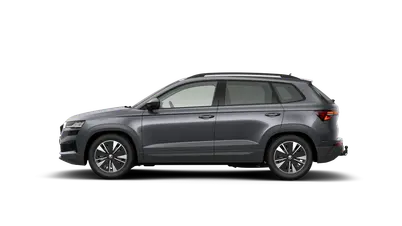 Karoq 130 let