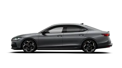 Superb Sportline