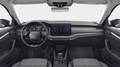 Octavia Exclusive Selection