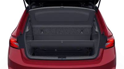 Fabia Monte Carlo