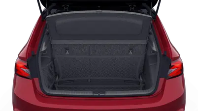 Fabia Monte Carlo