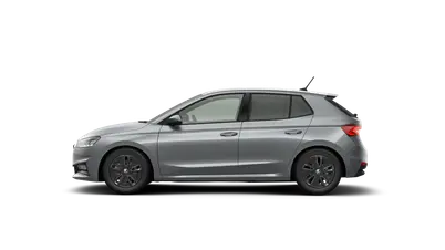Fabia Dynamic