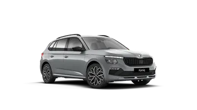 Kamiq Dynamic