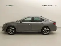 Octavia Exclusive Selection