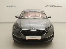 Octavia Exclusive Selection