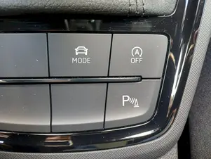 Škoda Kamiq Monte Carlo