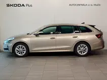 Octavia 