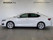 Octavia Exclusive Selection