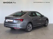 Octavia Exclusive Selection