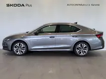 Octavia Exclusive Selection