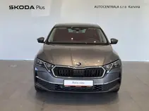 Octavia Exclusive Selection