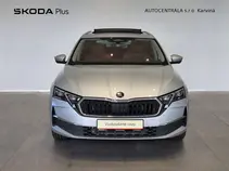 Octavia Exclusive Selection