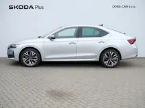 Octavia Exclusive Selection