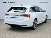 Octavia Exclusive Selection