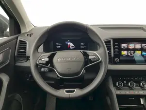 Škoda Karoq Top Selection