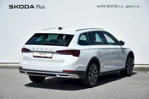 Octavia 