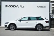 Octavia 