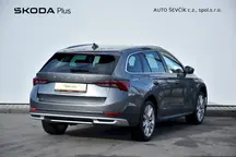 Octavia 