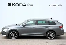Octavia Exclusive Selection