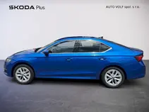Octavia Top Selection