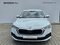 Octavia 