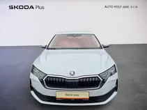 Octavia Top Selection