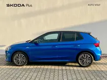 Fabia Monte Carlo
