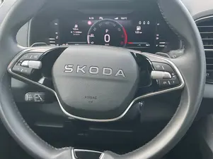 Škoda Karoq Top Selection