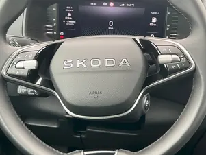 Škoda Karoq Top Selection
