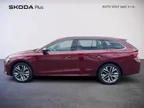 Octavia Top Selection