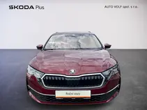 Octavia Top Selection