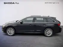 Octavia Top Selection