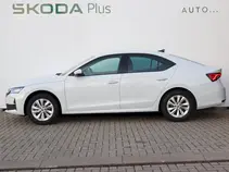 Octavia Selection