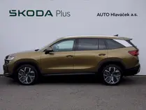 Kodiaq Exclusive Selection