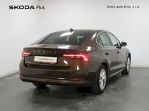 Octavia 