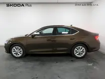 Octavia 
