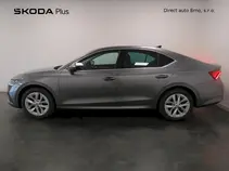 Octavia 