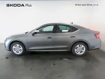 Octavia 