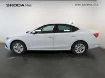 Octavia 