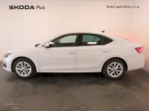 Octavia 