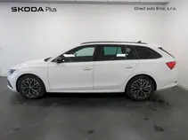 Octavia 