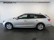 Octavia