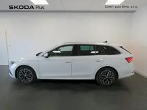 Octavia 