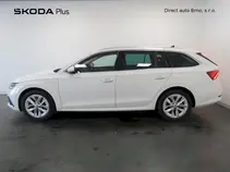 Octavia
