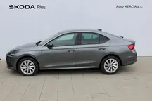 Octavia 