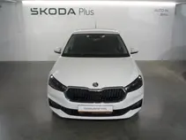 Fabia Style