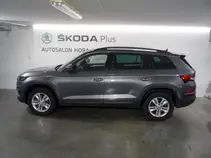 Kodiaq Ambition