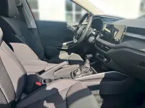 Fabia Top Selection