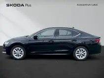 Octavia Top Selection