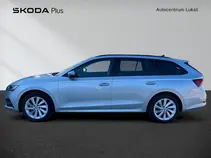 Octavia Ambition Fresh